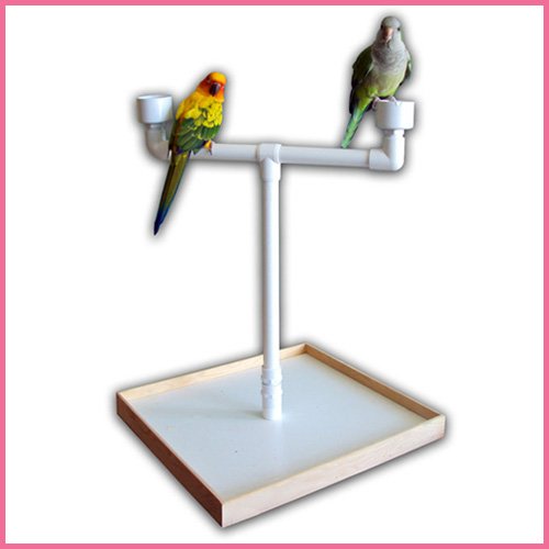 Portable Tabletop Perch