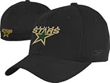 Dallas Stars 2009-2010 Basic Logo Black Structured Flex Fit Hat