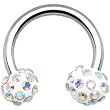 Aurora Ferido Crystal Horseshoe Circular Barbell