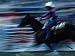 Rider in Rodeo at the Calgary Stampede, Calgary, Canada Photographic Poster Print by Rick Rudnicki, 16x12