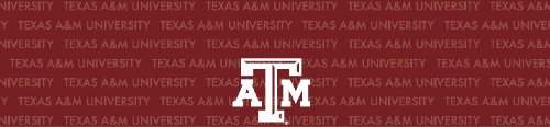 Texas A&M Aggies Team Auto Visor Decal