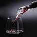 Kitchen & Housewares : Menu Vignon Decanting Pourers