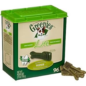 campbell biology chapter 16 chapter test