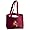 Arizona State Sun Devils