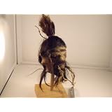 Black Bearded Goat Skin Shrunken Head 
