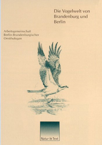 Vogelwelt