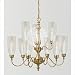 Martha Stewart Lighting F2445/9PTB Coronation Nine Light Chandelier in Patina Brass