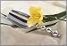 Mariposa String of Pearls Ice Scoop