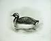 1908 Eared Or Black Necked Grebe Podicipes Nigricollis