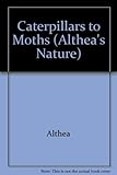 Caterpillars to moths