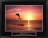 Dolphin Goals Framed Inspiration Poster