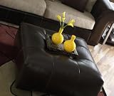 Enduro Leather Cocktail Ottoman by Sofa Trend
