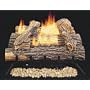 Desa International CCL3924PTA Vent-Free Gas Log