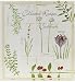 Collected Recipe Cookbook Organizer Botanical Treasures