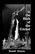 In The Slick Of the Cricket