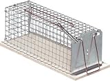Luna  Kastenratten Falle