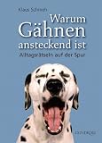 Warum Gähnen ansteckend ist: Alltagsrätseln auf der Spur