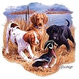 Three Dogs & Duck Youth Sweatshirt
