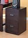 Contemporary Wood Grain Finish Letter Size Vertical File Cabinet