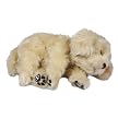 Wow Wee International Ltd. Labradoole Puppy