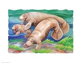 Manatee Family Art Poster Print by Paul Brent, 15x12