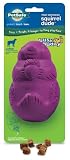 PetSafe Premier Squirrel Dude Dog Toy, Large