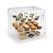 Clear Acrylic Pastry Case with 3 Removable Shelves, Front and Rear Doors - 18.875