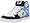 Black/Turquoise/White