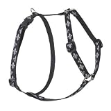 Wing It - 1/2 Lupine Adjustable Roman Style Harness - 12 to 20