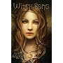 Witch Song by Amber Argyle