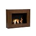 41eVewWderL. SL75  Finding Top Quality Wall Mounted Gas Fires At A Reasonable Price