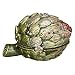 Jay Strongwater Artichoke Box