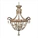 Quoizel RTD5206 Trinidad Cage Chandelier with Six Light
