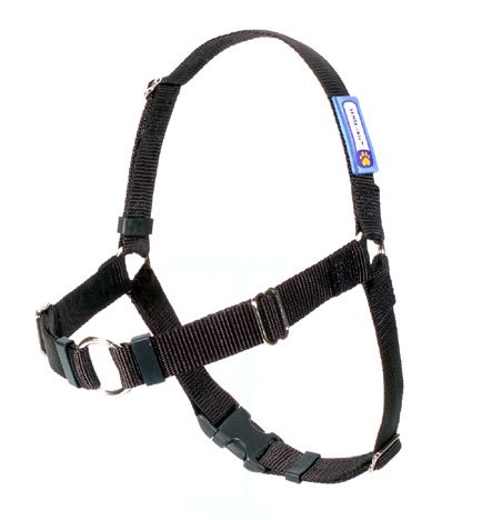 M/l 3/4" Sense-ation Harness Black