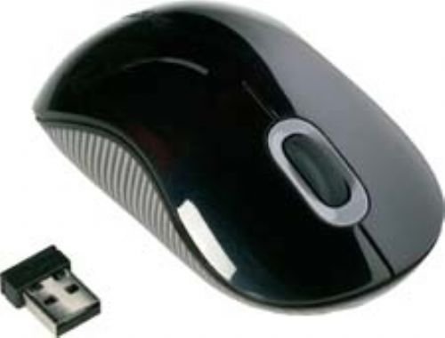 Targus Wireless Comfort Laser Mouse - Mouse Picture