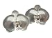 Orchid Earrings in Silver with Ruby Centers by Annette Ferdinandsen