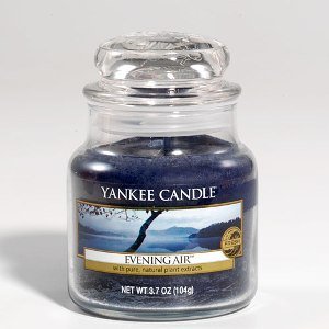 Yankee Candle Housewarmer 3.7oz Jar - Evening 