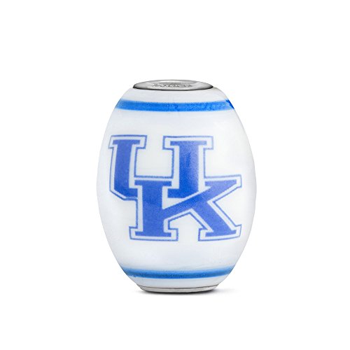 Kentucky Wildcats Large Glass Bead Fits Most European Style Bracelets