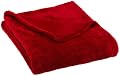 Pinzon Microtec Throw, Red
