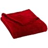 Pinzon 50-by-60-Inch Microtec Throw, Red