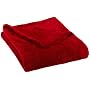 Pinzon 50-by-60-Inch Microtec Throw, Red