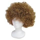 Economy Brown Afro Wig ~ Halloween 1960s or 1970s Costume Party Wig (STC13034)