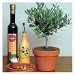 Olive Tree 10 Seeds - Olea europaea - Great Houseplant It is of major agricultural importance in the Mediterranean region as the source of olives and olive oil. Makes a great bonsai.