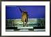 Large Mansudae Statue of Kim Il Sung, P'Yongyang, North Korea Collections Framed Photographic Poster Print by Tony Wheeler, 29x21