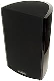 Definitive Technology ProMonitor 1000 Bookshelf Speaker (Single, Black)