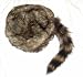 Raccoon Wilderness Cap Hat