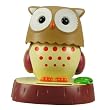 Solar-Wackelfigur CURIOSLY OWL