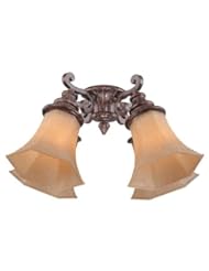 From Amazon.com. Click for details:
 Home Improvement: Savoy House FLGC-991-56 Artesno Ceiling Fan Light Kit, New Tortoise Shell Finish with Excavated Glass Shades - Savoy House Home Improvement: Savoy House FLGC-991-56 Artesno Ceiling Fan Light Kit, New Tortoise Shell Finish with Excavated Glass Shades - Savoy House