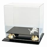 Detroit Lions Coach's Choice Mini Helmet Display