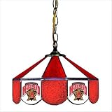 University of Maryland 14" Wide Swag Hanging Lamp Style: Executive